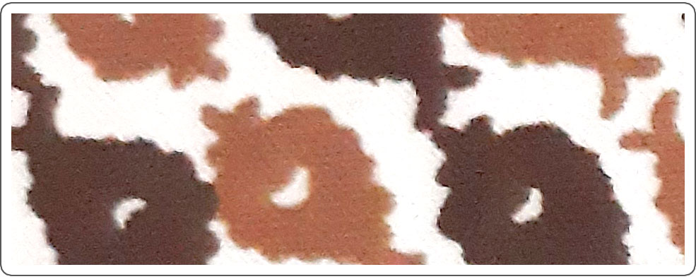 Brown EF - Y