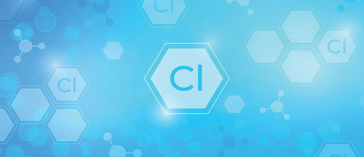 Shreee Radha Dye-Chem Industries